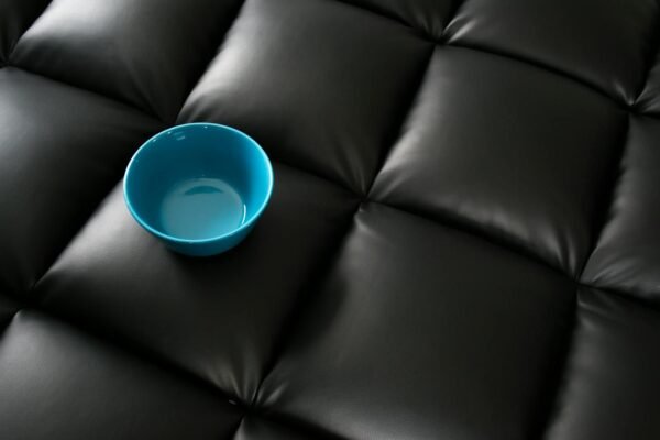 A blue bowl sits on a quilted black leather sofa, showcasing minimalist design.